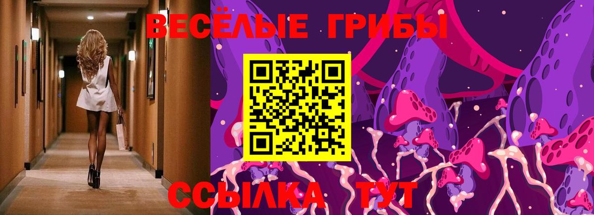 Галлюциногенные грибы Magic Shrooms Воскресенск