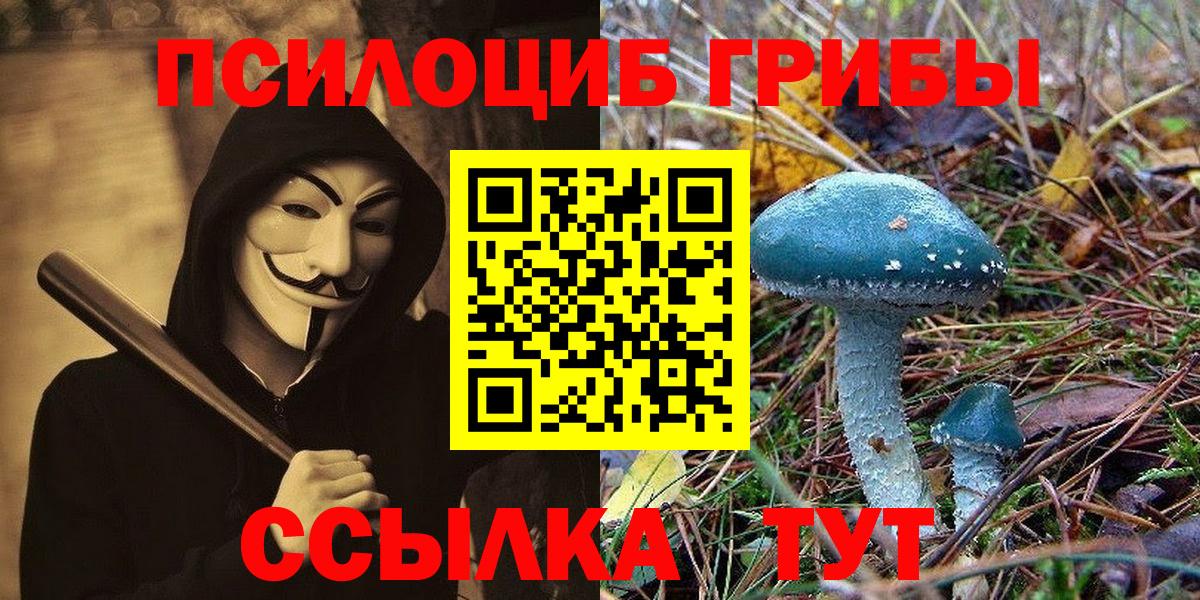 Воскресенск  Псилоцибиновые грибы Psilocybe  Вход с VPN 